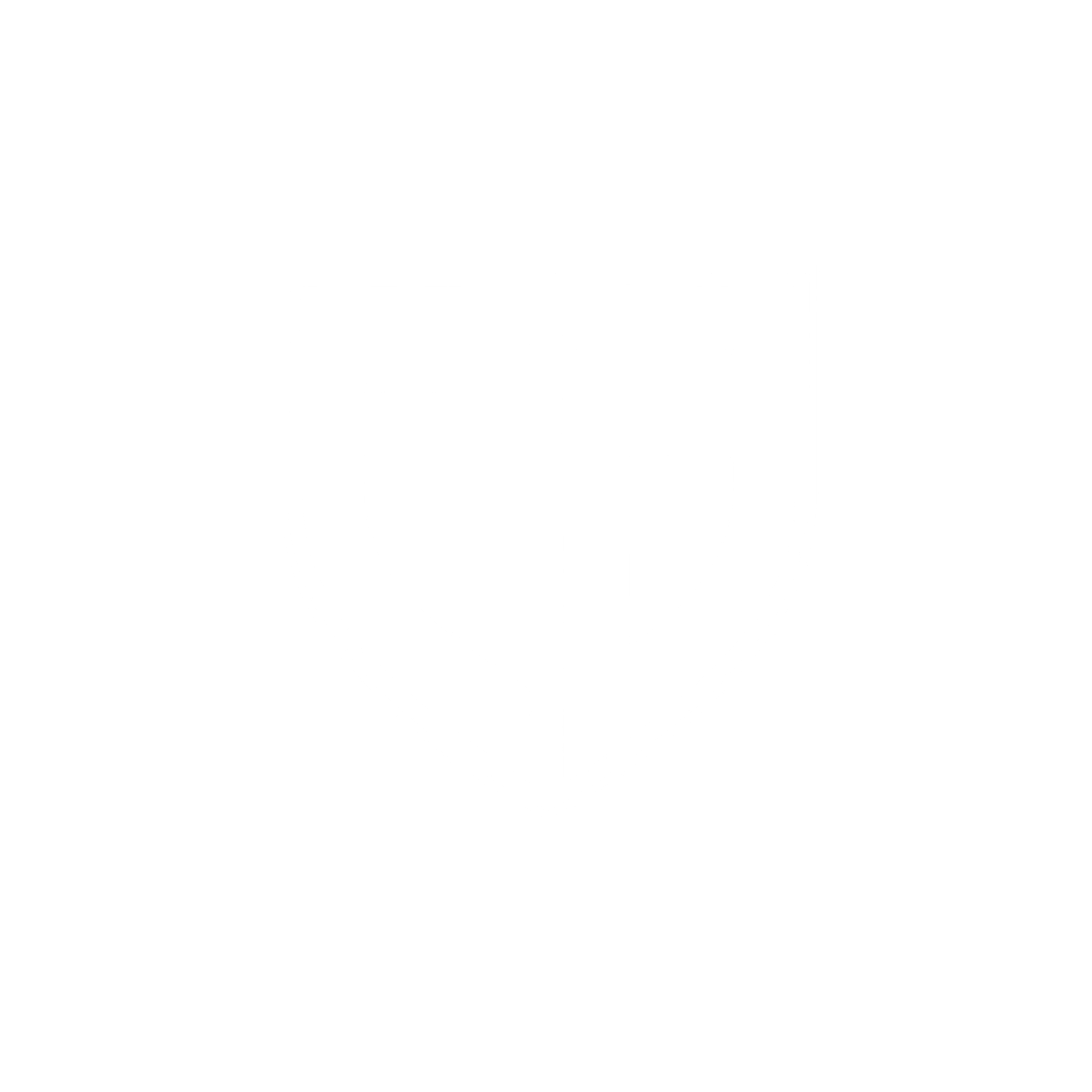 mfsjapan